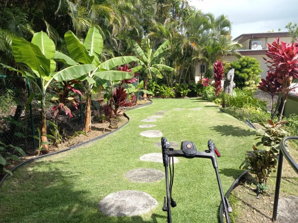 Reliable yard maintenance in Waianae, HI - Kama'aina Hawaii Services