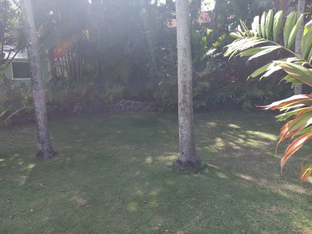 Expert residential landscaping in Waianae, HI - Kama'aina Hawaii Services