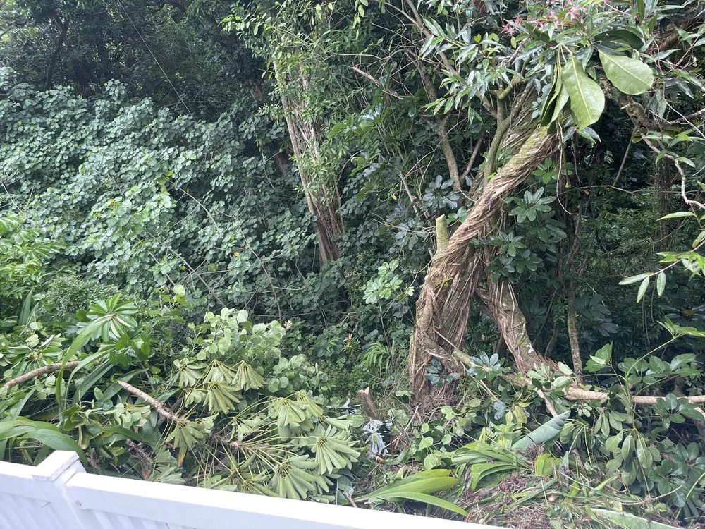 Custom garden landscaping in Waianae, HI - Kama'aina Hawaii Services