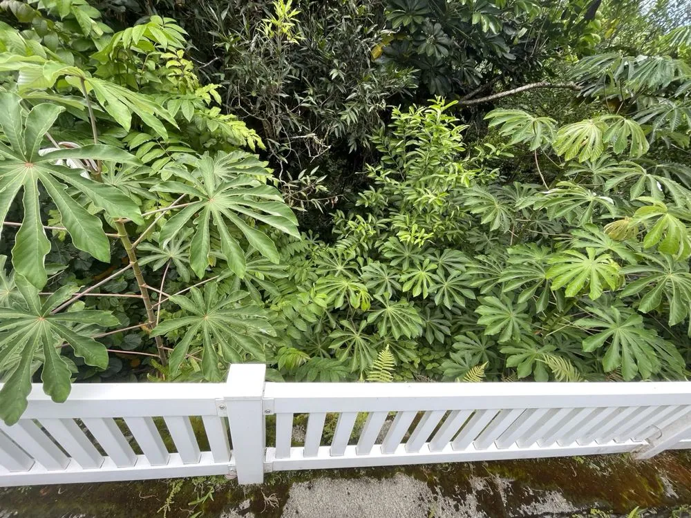 Local yard maintenance in Waianae, HI - Kama'aina Hawaii Services