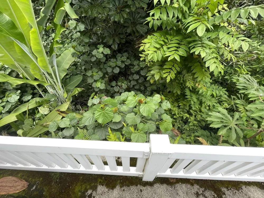 Reliable landscaping services in Waianae, HI - Kama'aina Hawaii Services