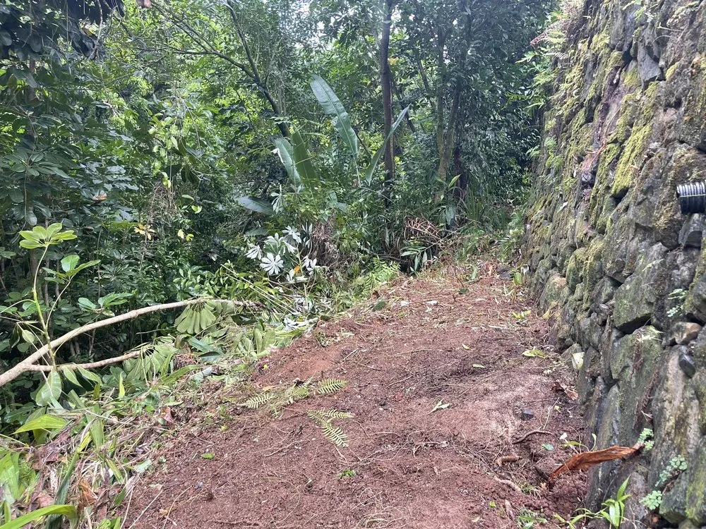 Reliable residential landscaping for homes in Waianae, HI by Kama'aina Hawaii Services