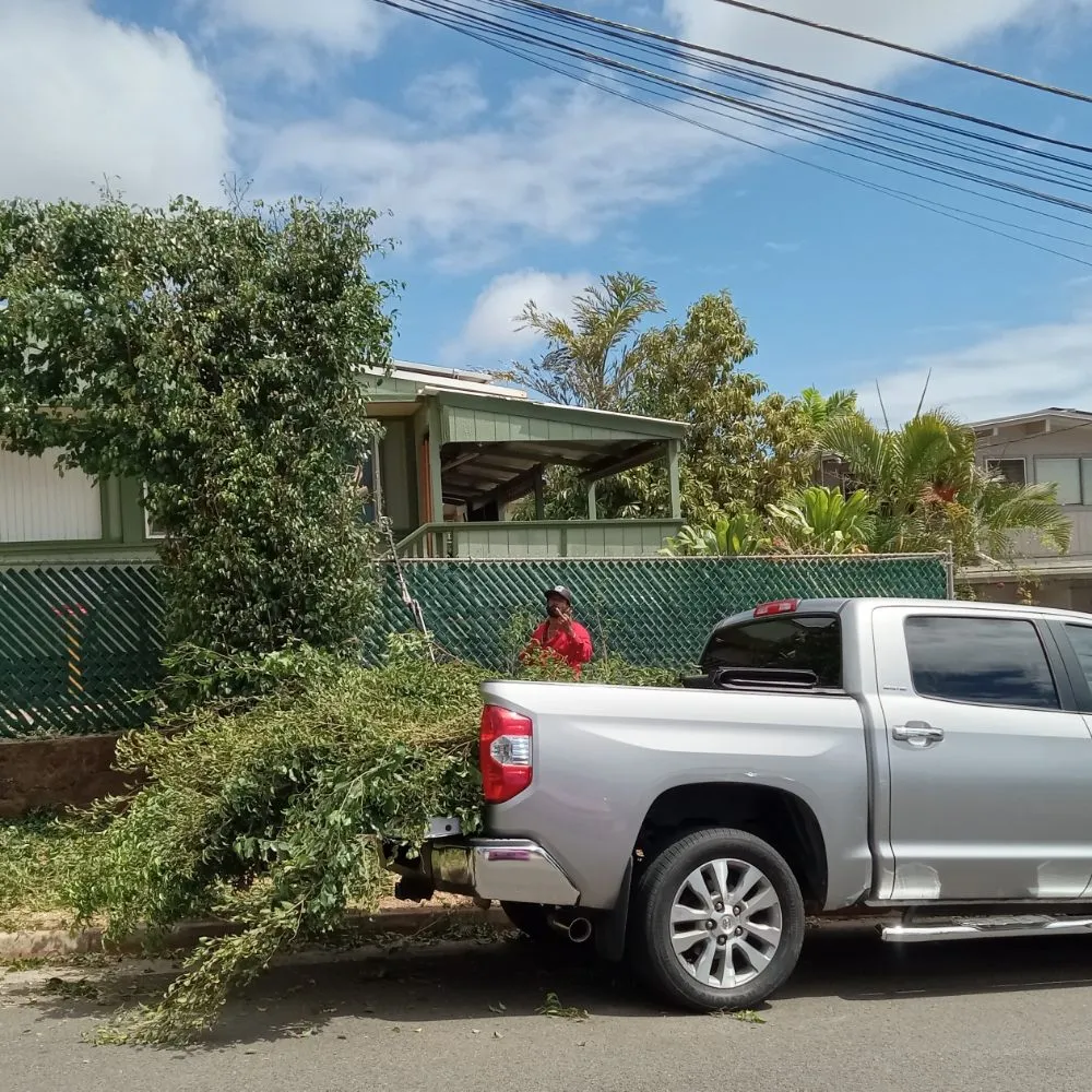 Expert garden landscaping in Waianae, HI by Kama'aina Hawaii Services