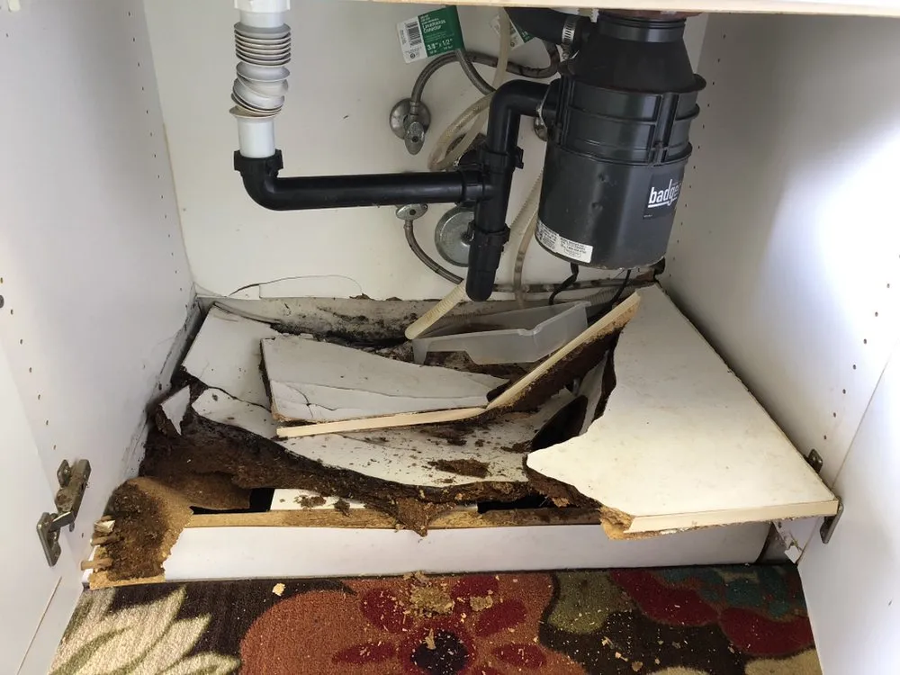 Top-rated landscape installation experts serving Ewa Beach, HI - Kamaaina Home & Yard Service