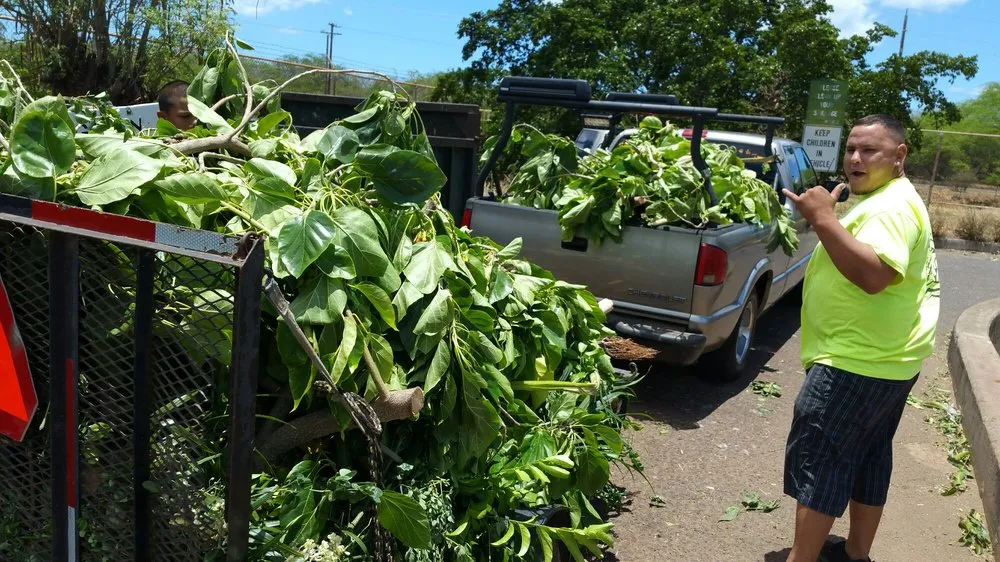 Affordable landscape installation in Ewa Beach, HI - Kamaaina Home & Yard Service