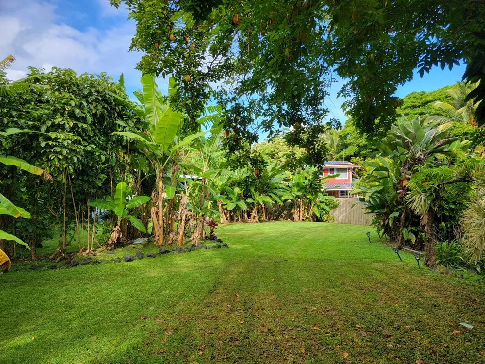 Custom yard maintenance experts serving Waimea, HI - Kamaaina Landscaping