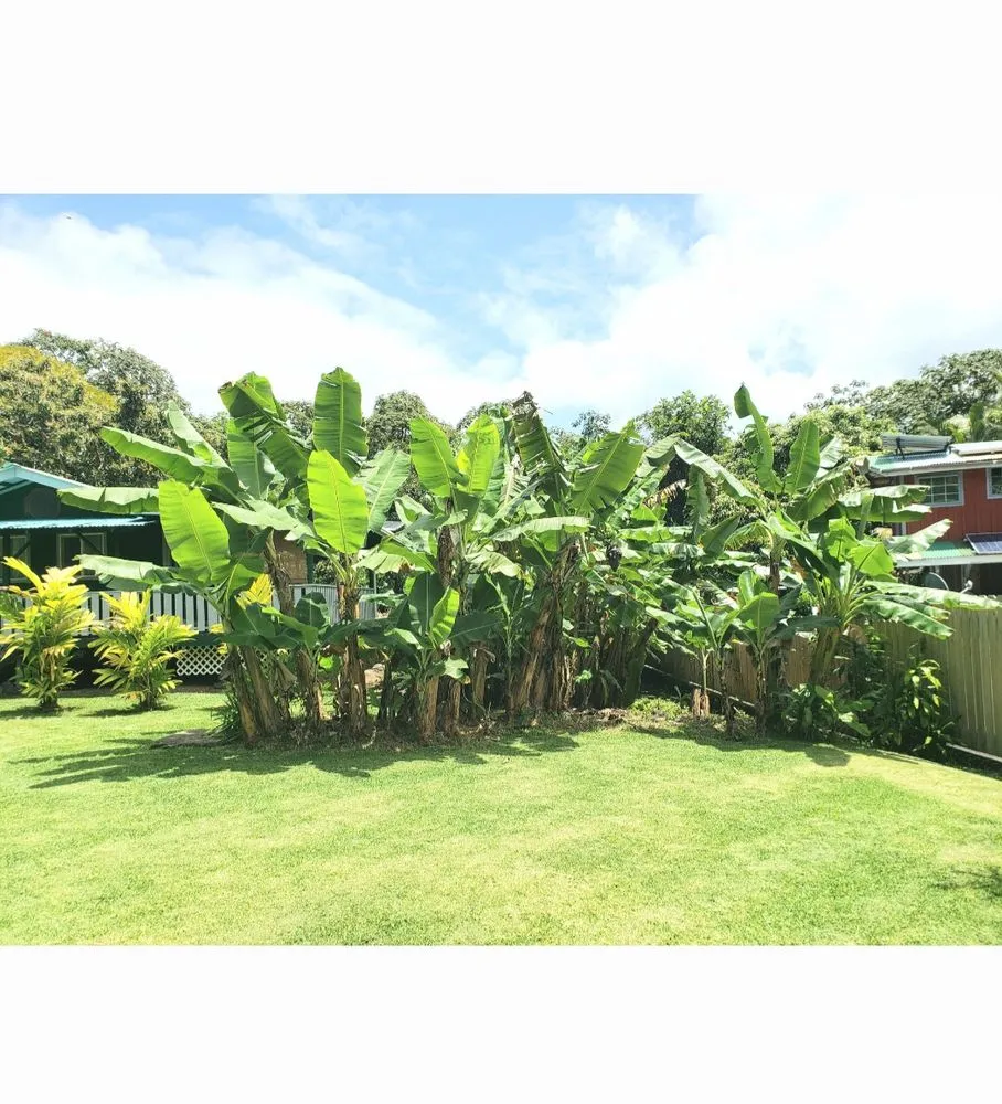 Affordable garden landscaping in Waimea, HI - Kamaaina Landscaping