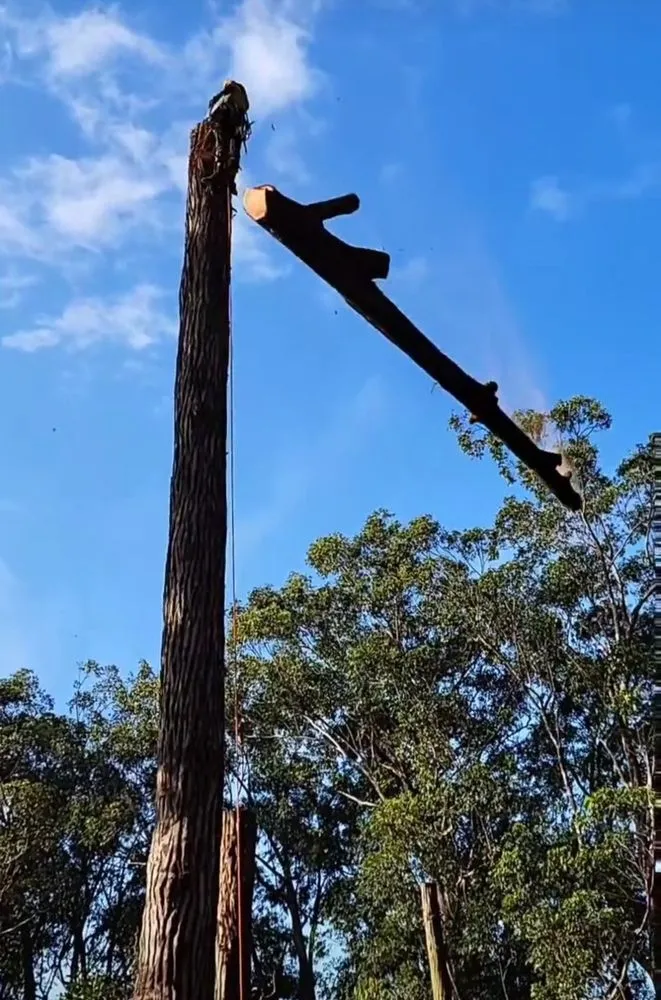 Reliable outdoor landscaping for year-round maintenance across Waimea, HI - Kamaaina Landscaping