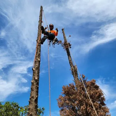 Kamaaina Landscaping