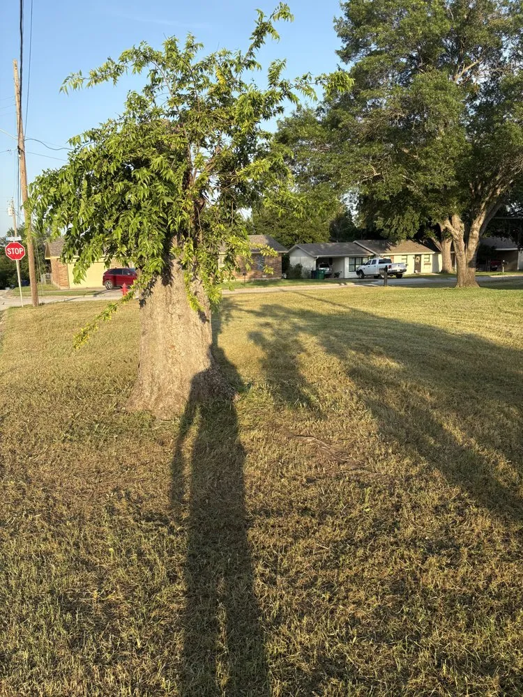 Expert landscaping services in Aubrey, TX - Kamanee’s Lawn Care