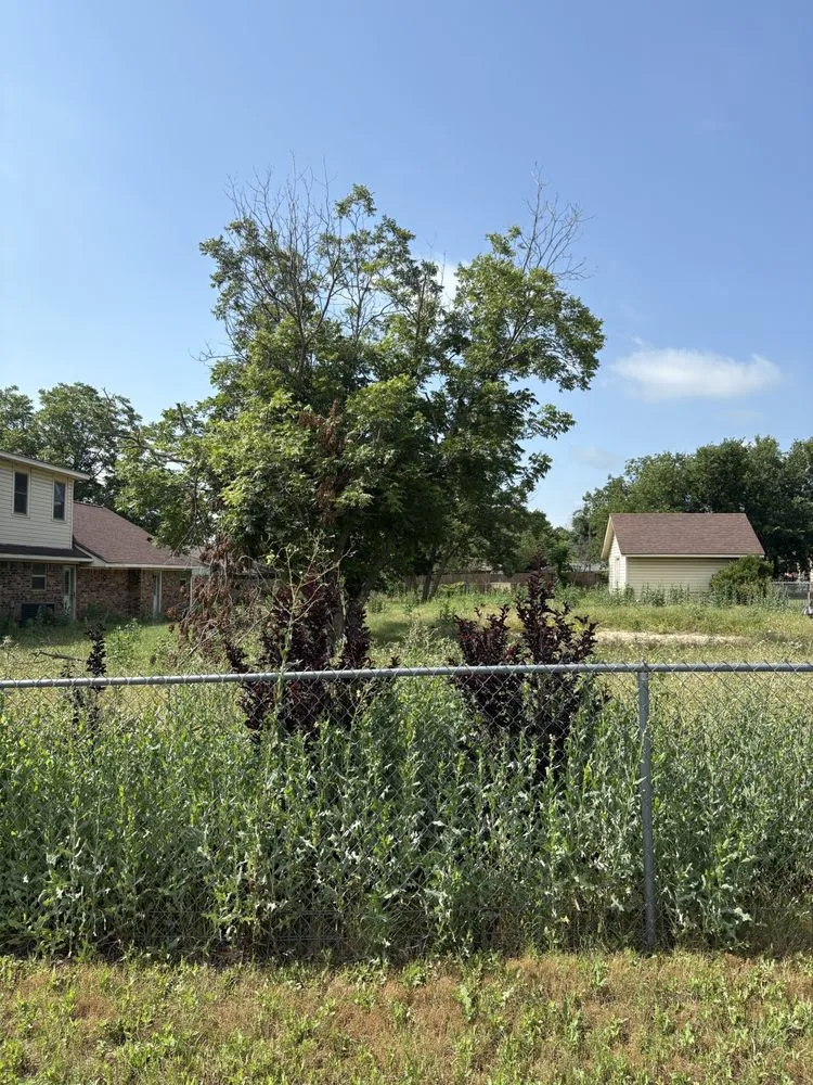 Trusted residential landscaping experts serving Aubrey, TX - Kamanee’s Lawn Care