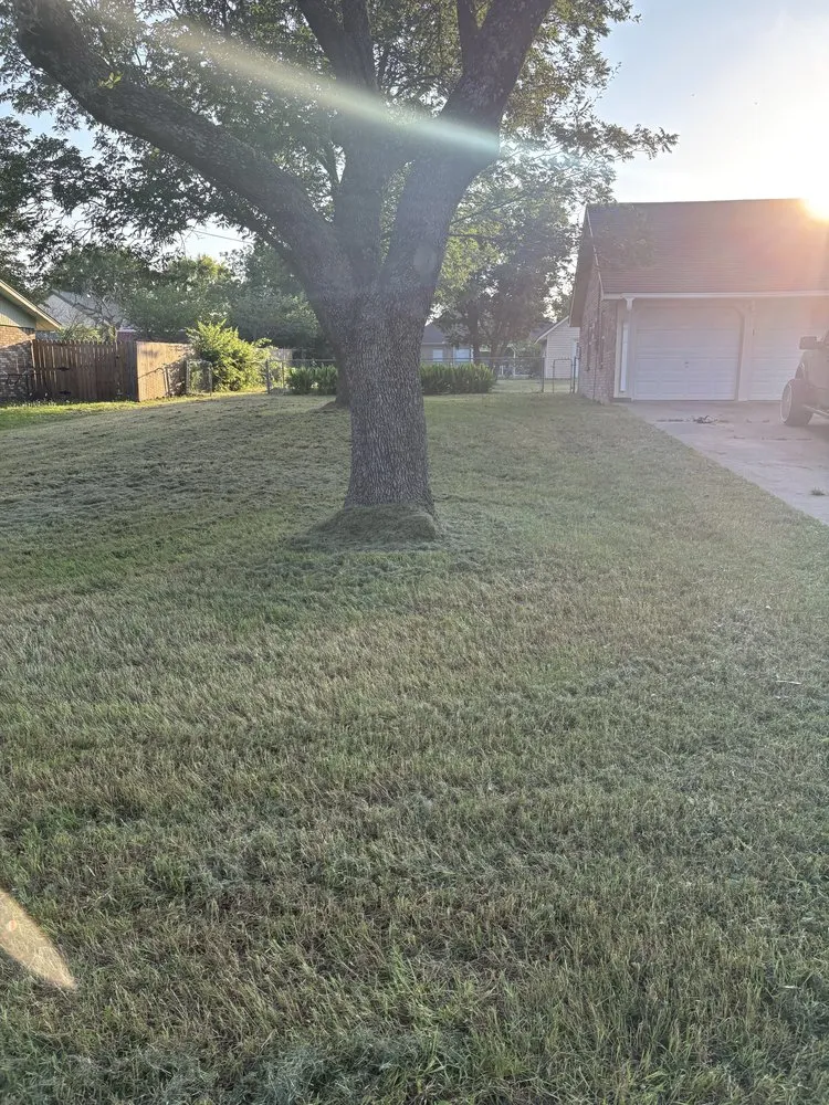 Top-rated lawn care service for homes across Aubrey, TX - Kamanee’s Lawn Care