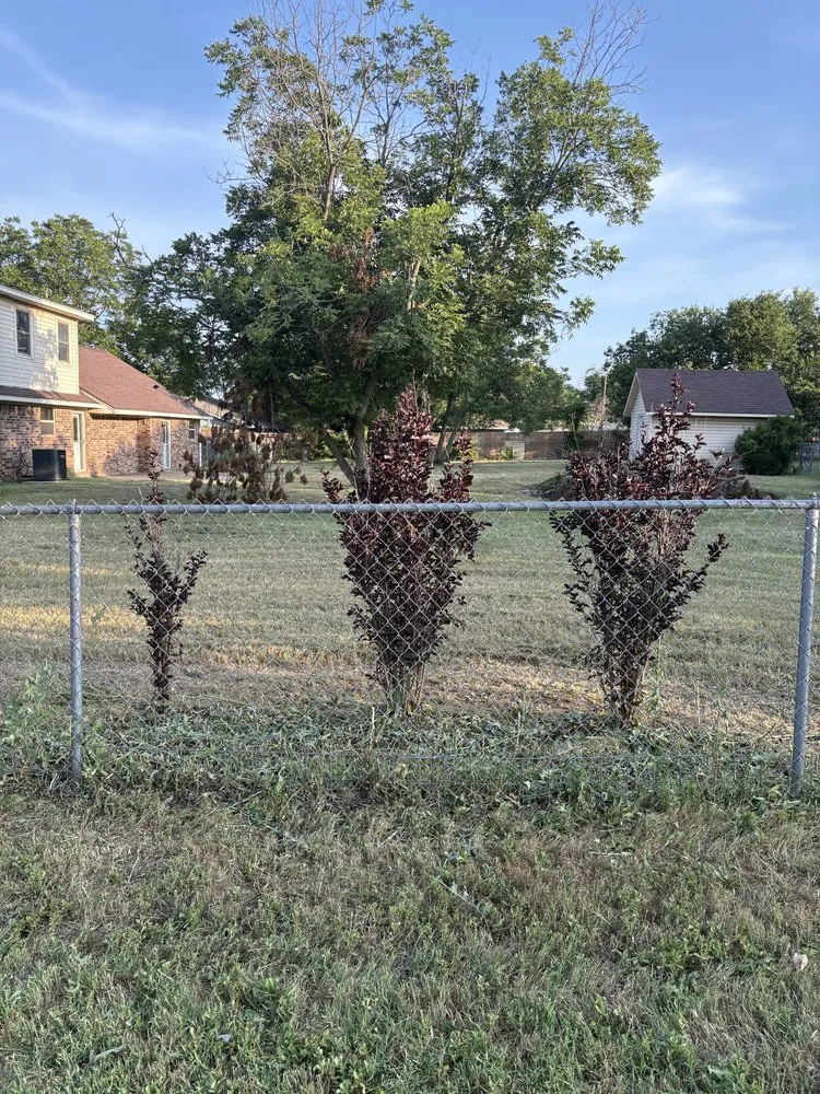 Expert lawn mowing service for beautiful yards across Aubrey, TX - Kamanee’s Lawn Care