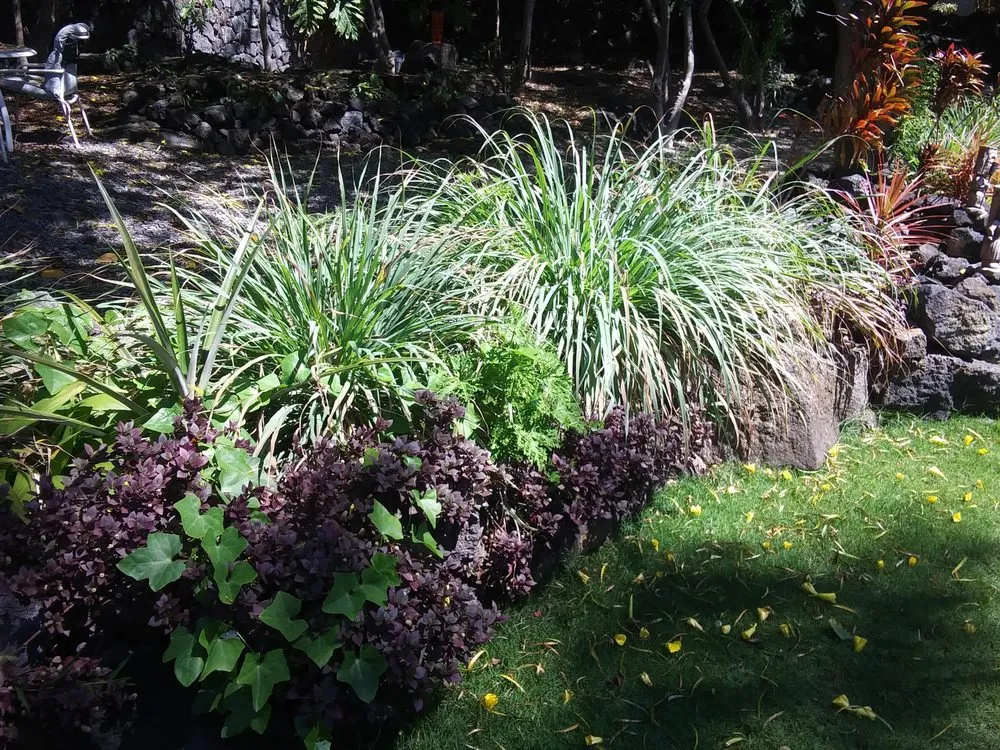Trusted yard maintenance for beautiful yards in Waimea, HI by Kamanu Land Improvements & Irrigation