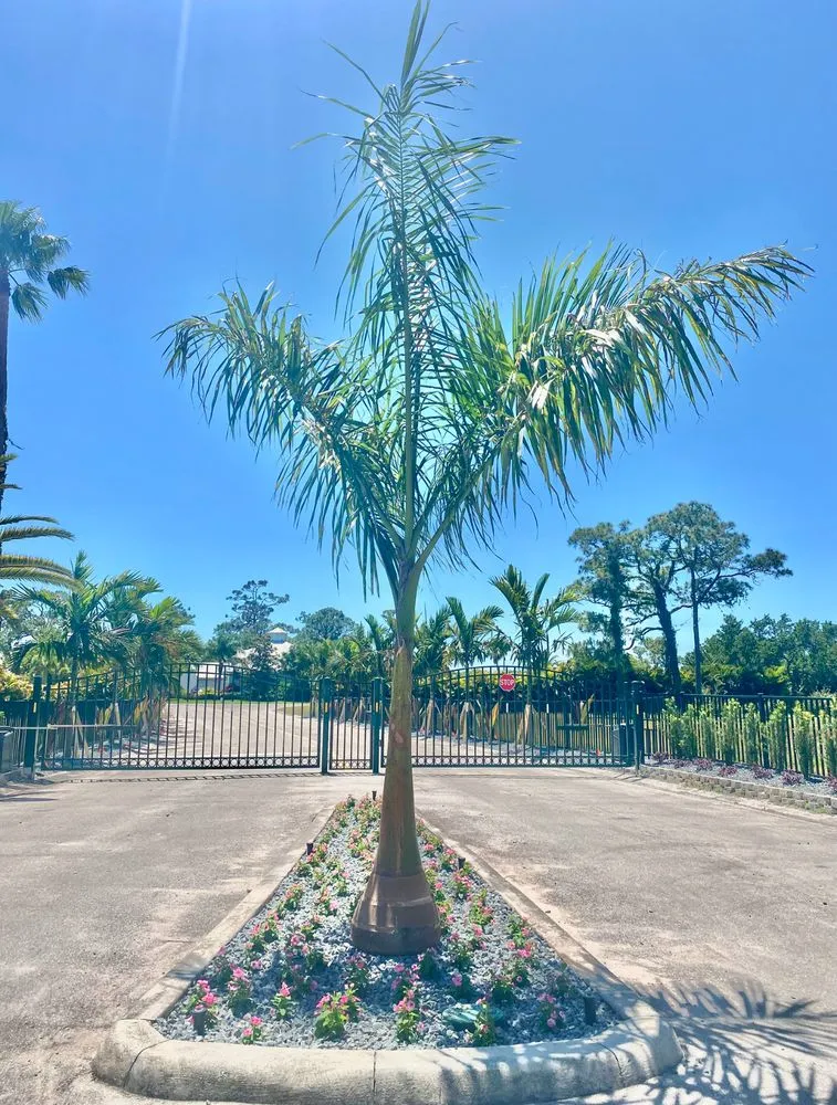 Professional yard cleanup service in Cape Coral, FL - Kamden Farms