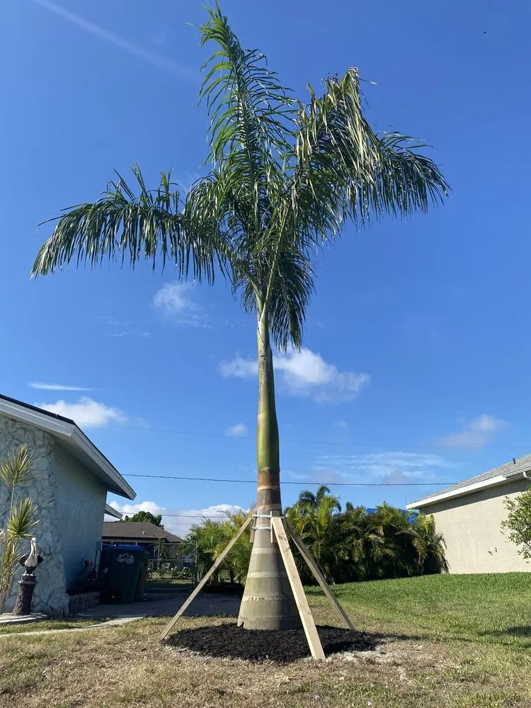 Custom landscape installation with custom design in Cape Coral, FL by Kamden Farms