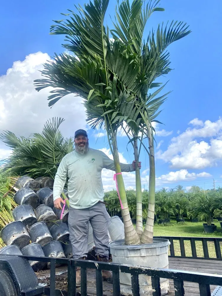 Trusted garden landscaping for residential properties across Cape Coral, FL - Kamden Farms