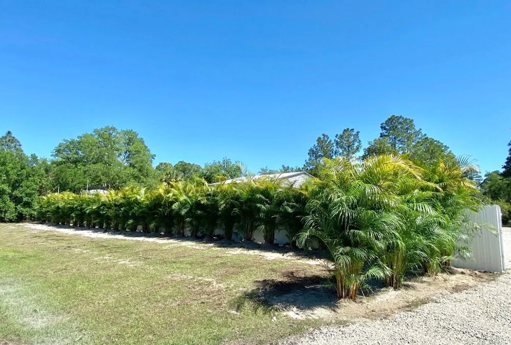 Professional outdoor landscaping in Cape Coral, FL - Kamden Farms