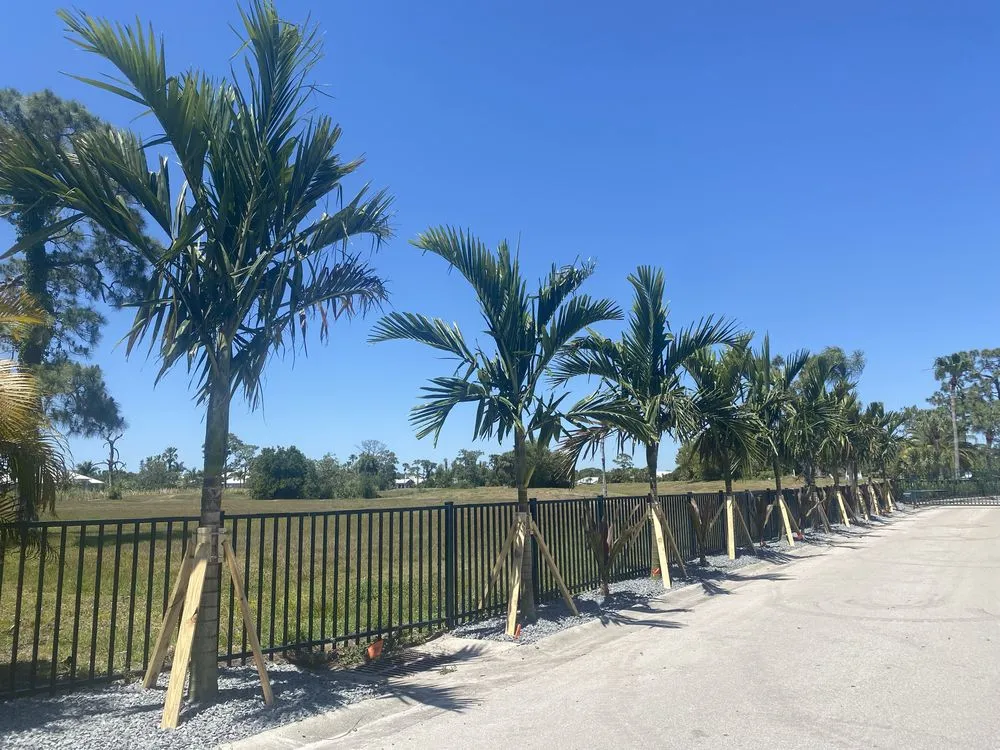 Reliable yard cleanup service experts serving Cape Coral, FL - Kamden Farms