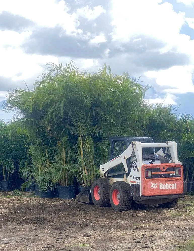 Reliable landscape design experts serving Cape Coral, FL - Kamden Farms