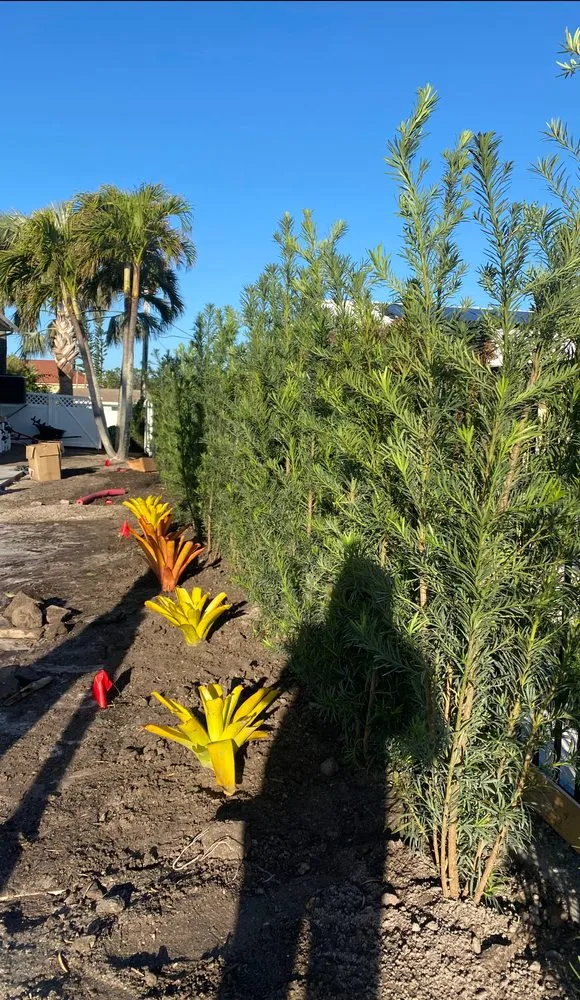 Reliable outdoor landscaping in Cape Coral, FL by Kamden Farms