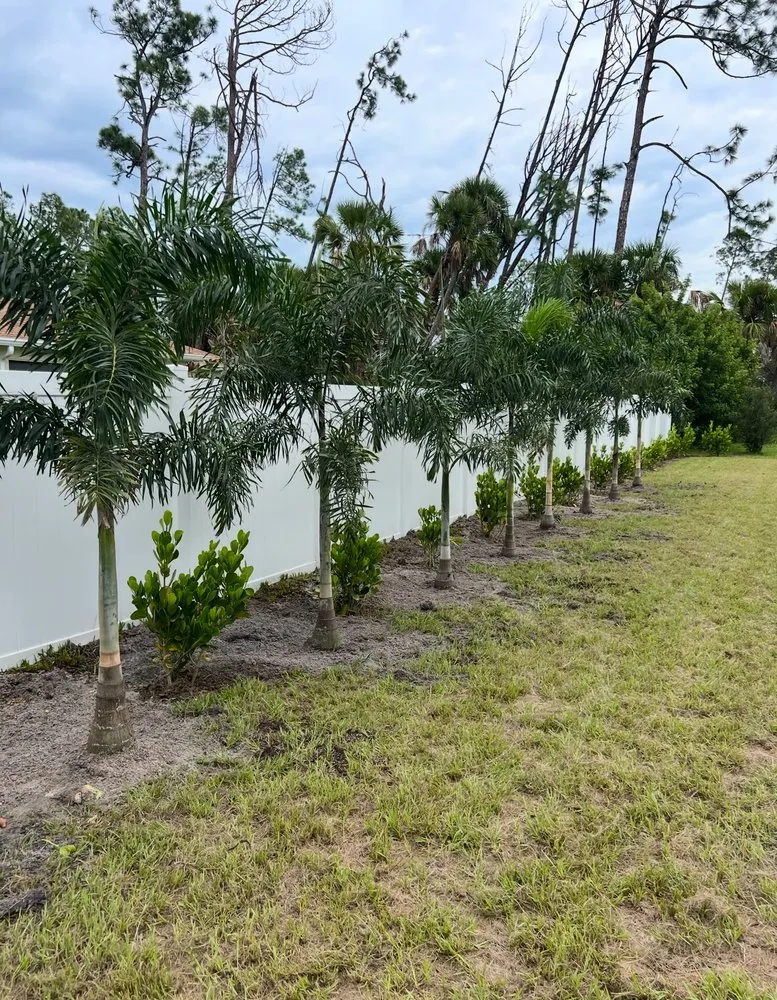 Top-rated yard maintenance for year-round maintenance in Cape Coral, FL by Kamden Farms