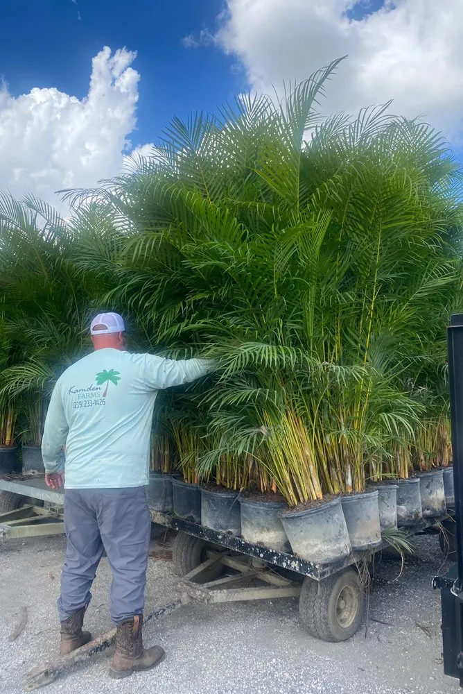 Custom outdoor landscaping near you in Cape Coral, FL by Kamden Farms