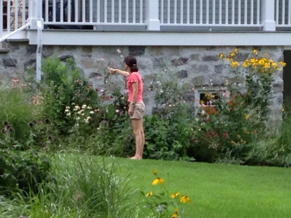 Reliable lawn care service for year-round maintenance in Stamford, CT by Kamen Tree & Turf