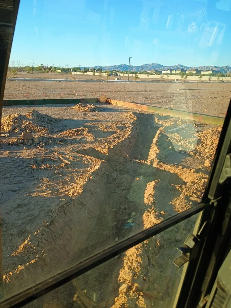 Top-rated yard maintenance for year-round maintenance across Avondale, AZ - Kamp Companies