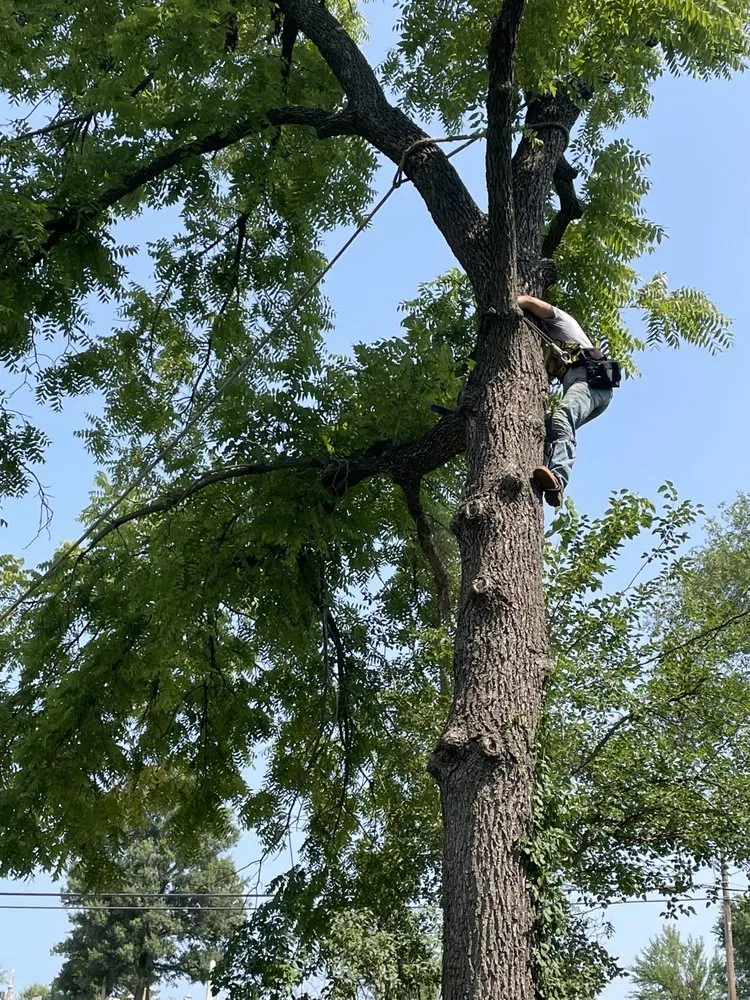 Local yard cleanup service in Rayville, MO by Kampe's Outdoor Enhancements