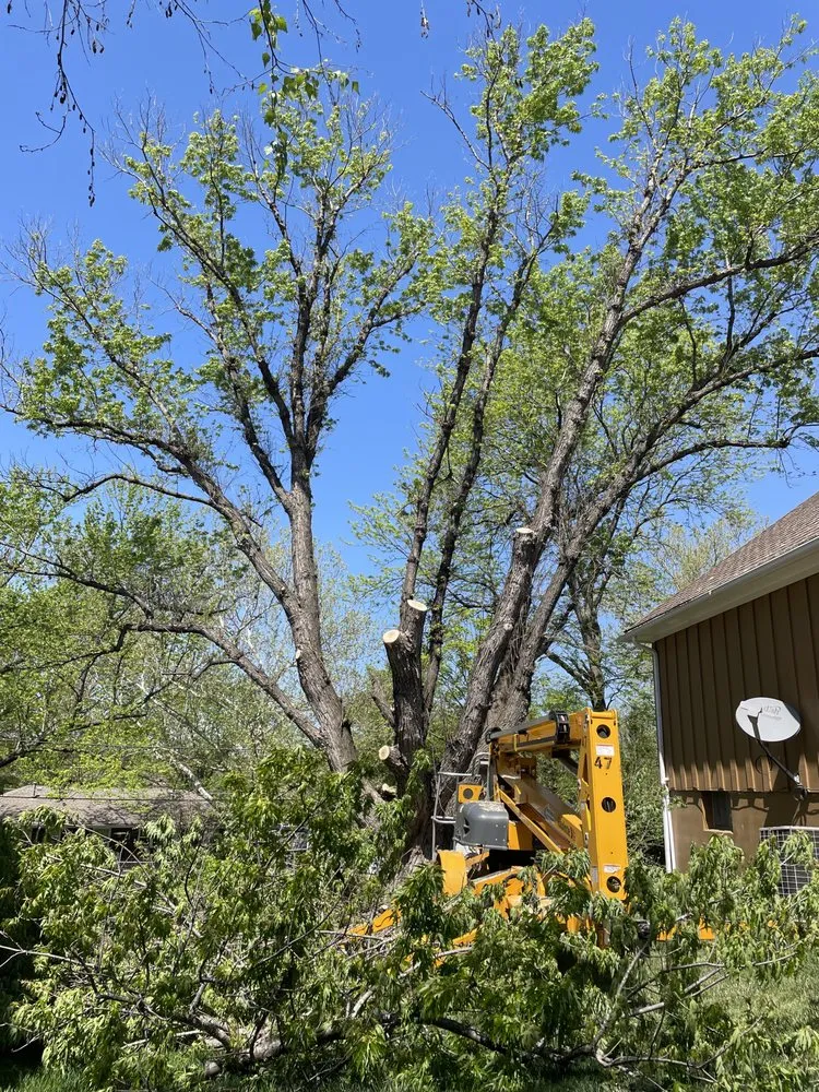 Reliable yard cleanup service for homes in Rayville, MO by Kampe's Outdoor Enhancements