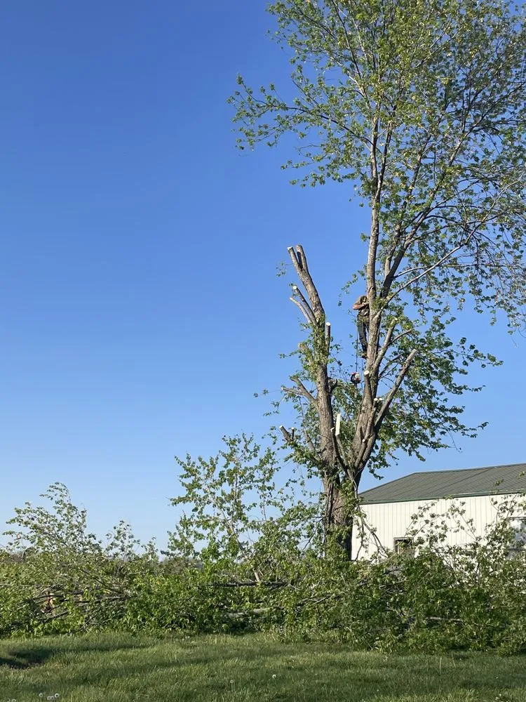 Expert landscaping services in Rayville, MO - Kampe's Outdoor Enhancements