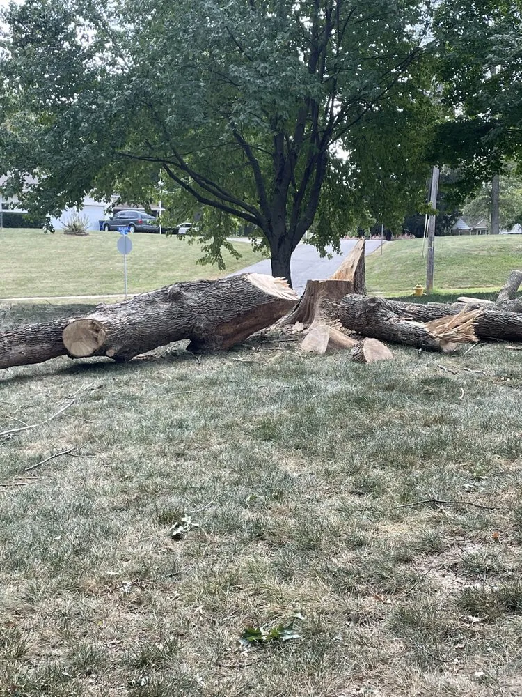 Trusted outdoor landscaping in Rayville, MO by Kampe's Outdoor Enhancements