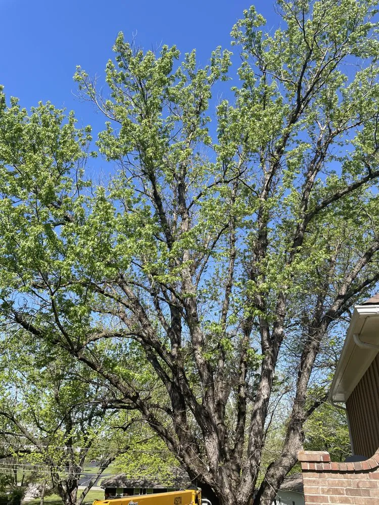 Reliable outdoor landscaping experts serving Rayville, MO - Kampe's Outdoor Enhancements