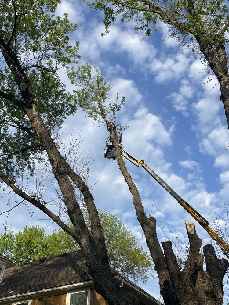 Trusted yard maintenance in Rayville, MO by Kampe's Outdoor Enhancements