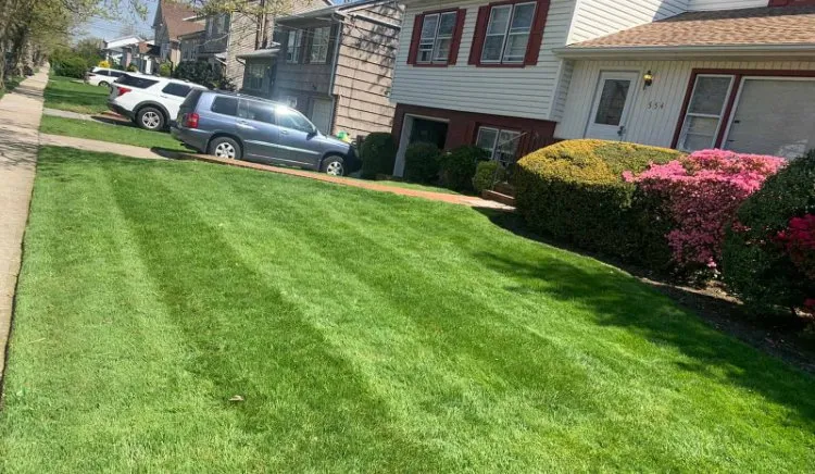 Expert lawn mowing service in Harvey, LA by Kams Cut n Dash