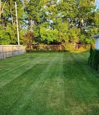 Kams Cut n Dash Logo