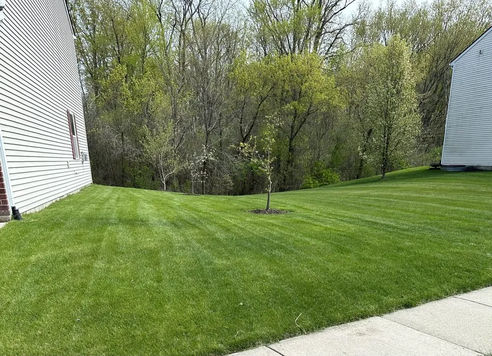 Reliable landscaping services in Detroit, MI - Kams Lawn