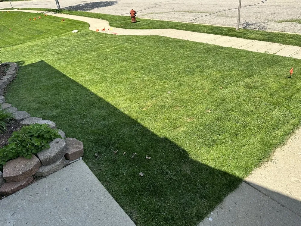 Reliable landscaping services in Detroit, MI by Kams Lawn