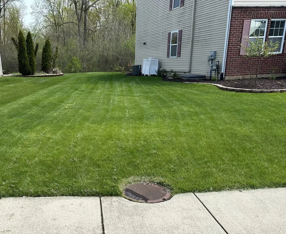 Affordable lawn care service in Detroit, MI - Kams Lawn