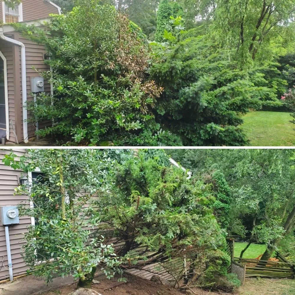 Reliable landscaping services for year-round maintenance across New Cumberland, PA - KAMscapes