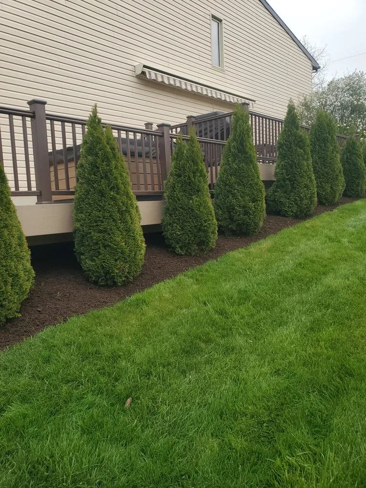 Trusted landscaping services for year-round maintenance in New Cumberland, PA by KAMscapes