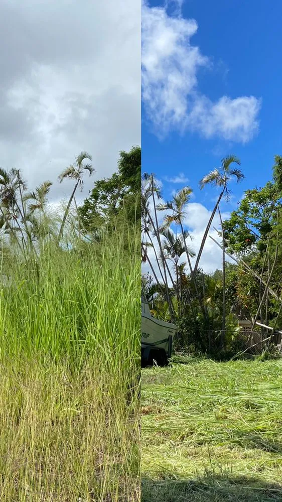 Affordable residential landscaping in Honolulu, HI by Kanaka Landscaping Services