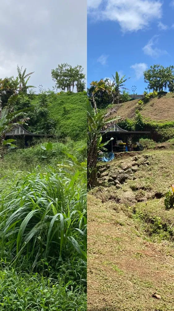 Custom outdoor landscaping in Honolulu, HI by Kanaka Landscaping Services