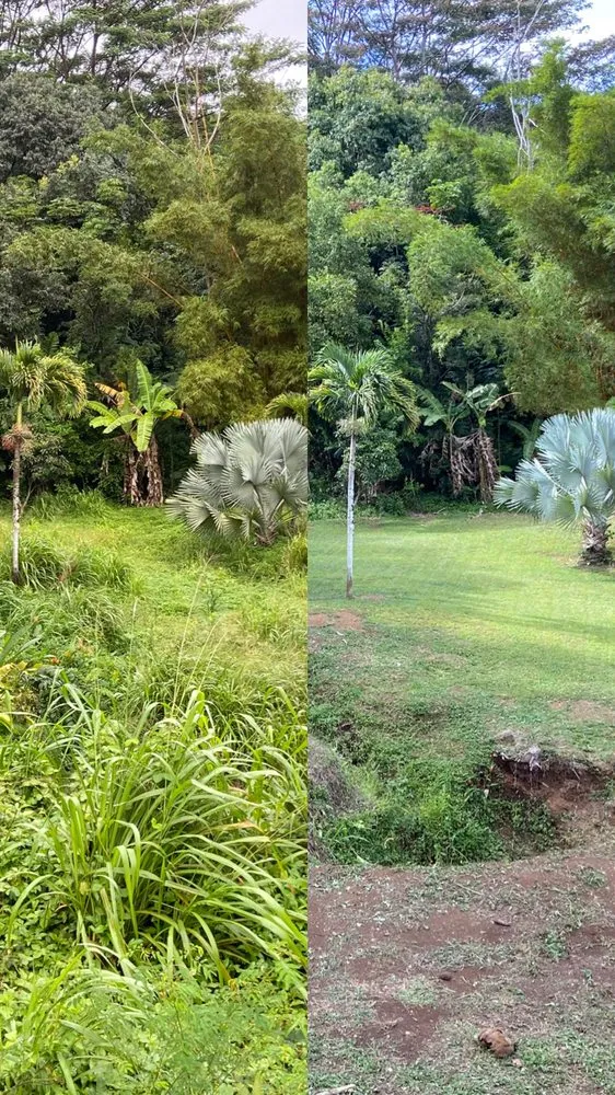 Custom residential landscaping in Honolulu, HI - Kanaka Landscaping Services