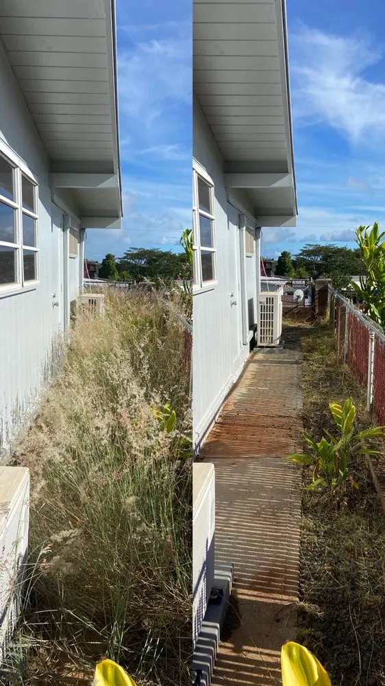 Trusted landscaping services in Honolulu, HI by Kanaka Landscaping Services