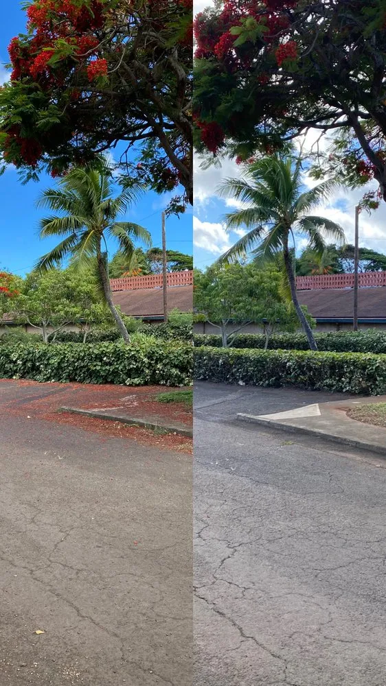 Affordable garden landscaping near you in Honolulu, HI by Kanaka Landscaping Services