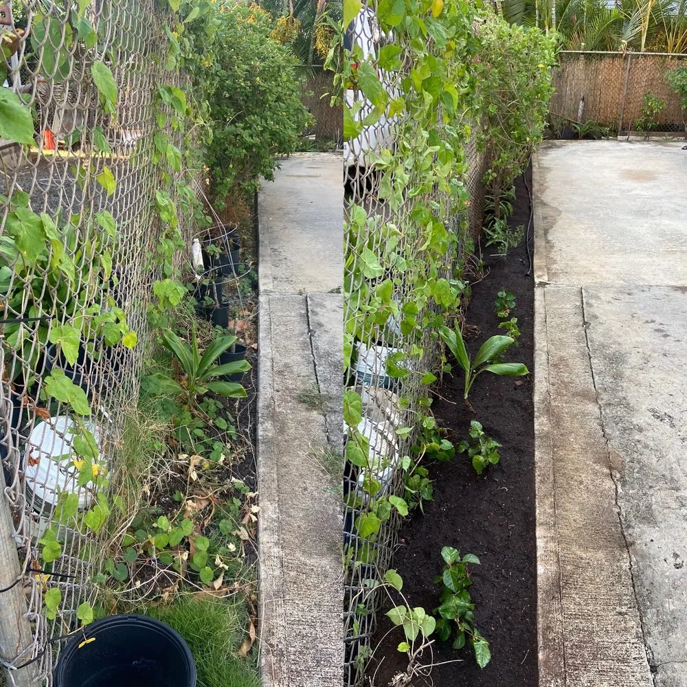 Local lawn care service in Honolulu, HI by Kanaka Landscaping Services