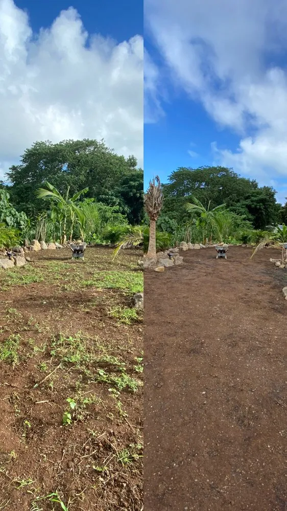 Custom landscaping services experts serving Honolulu, HI - Kanaka Landscaping Services