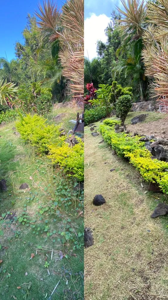 Top-rated landscape installation with custom design across Honolulu, HI - Kanaka Landscaping Services